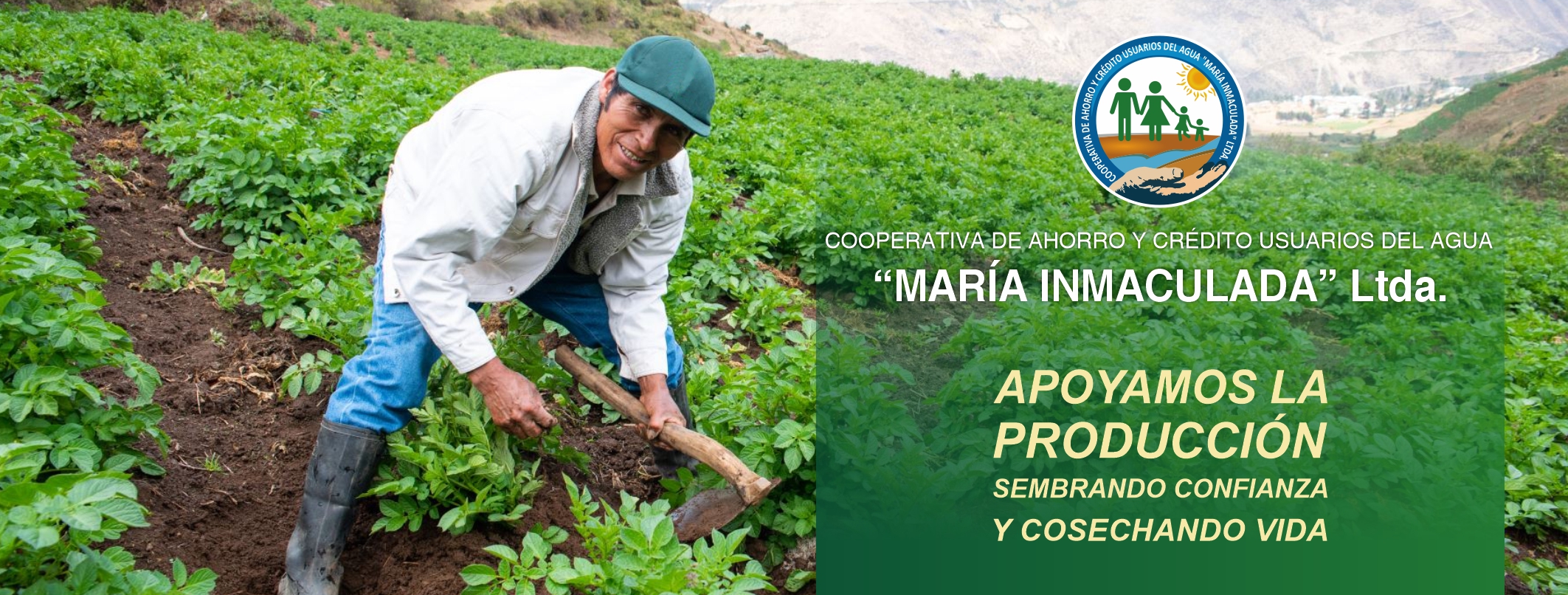 Banner_1 Coac. Inmaculada