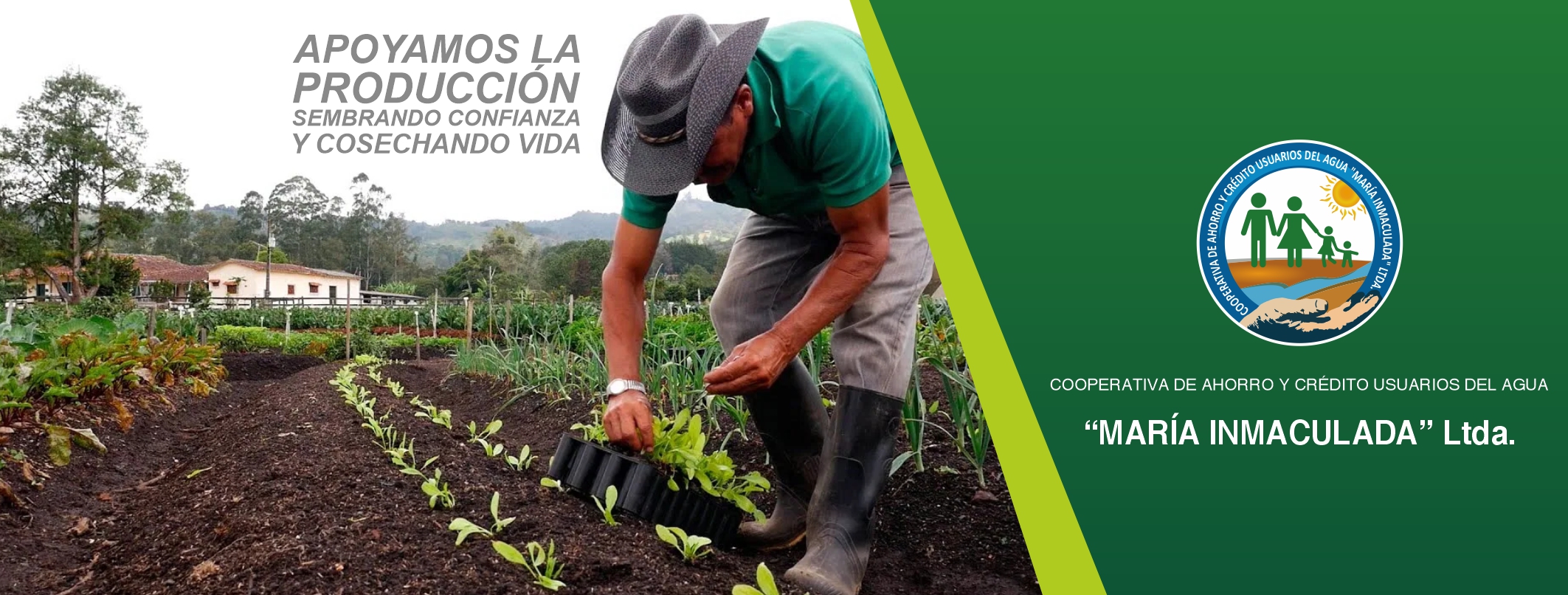 Banner_2 Coac. Inmaculada