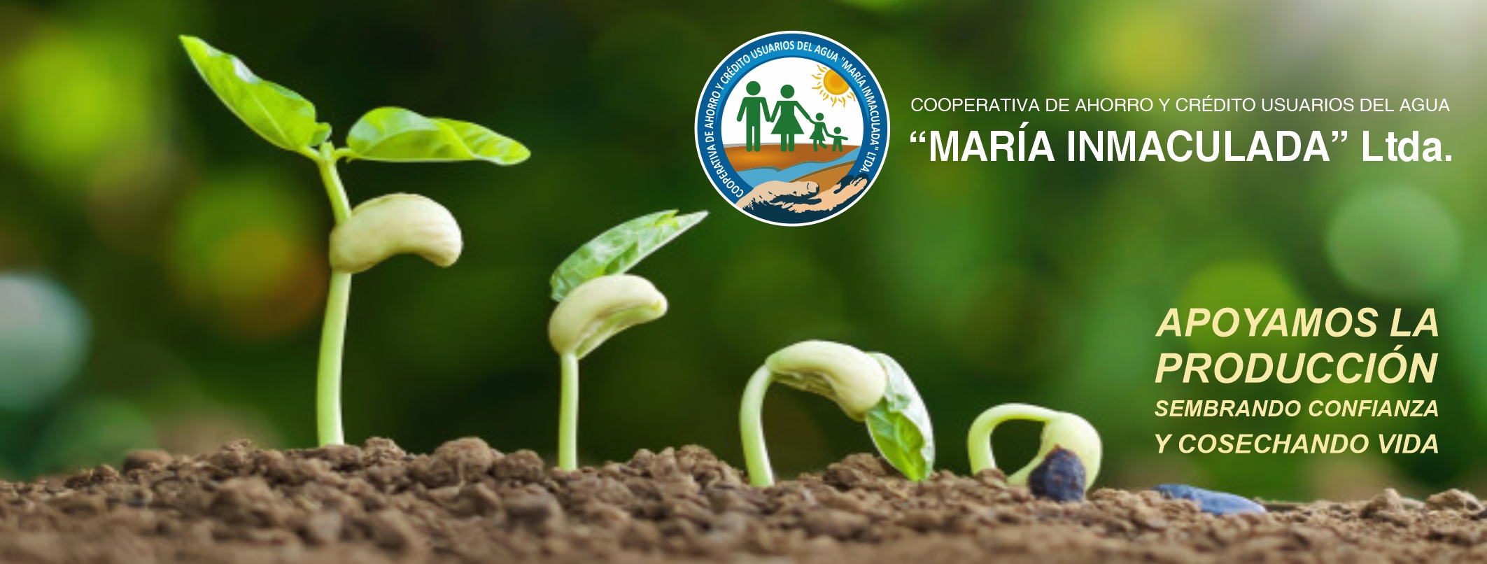 Banner_3 Coac. Inmaculada